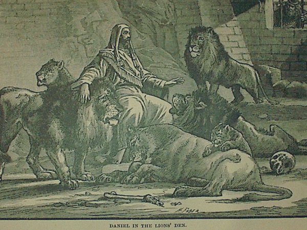 600x450 P2 Daniel Lionsden.jpg