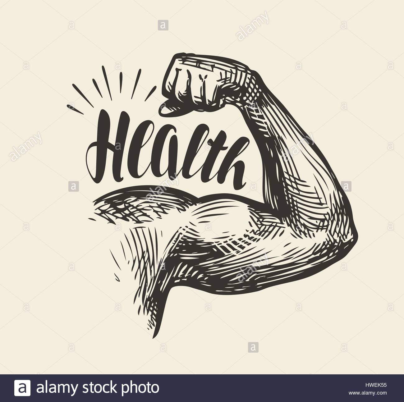 1300x1294 Strong Arm Muscles, Biceps. Gym, Bodybuilding Health Sketch Stock