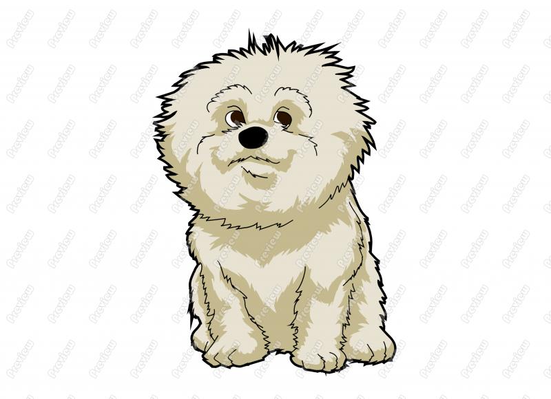 800x580 Friendly Cartoon Bichon Frise Dog Character Clip Art
