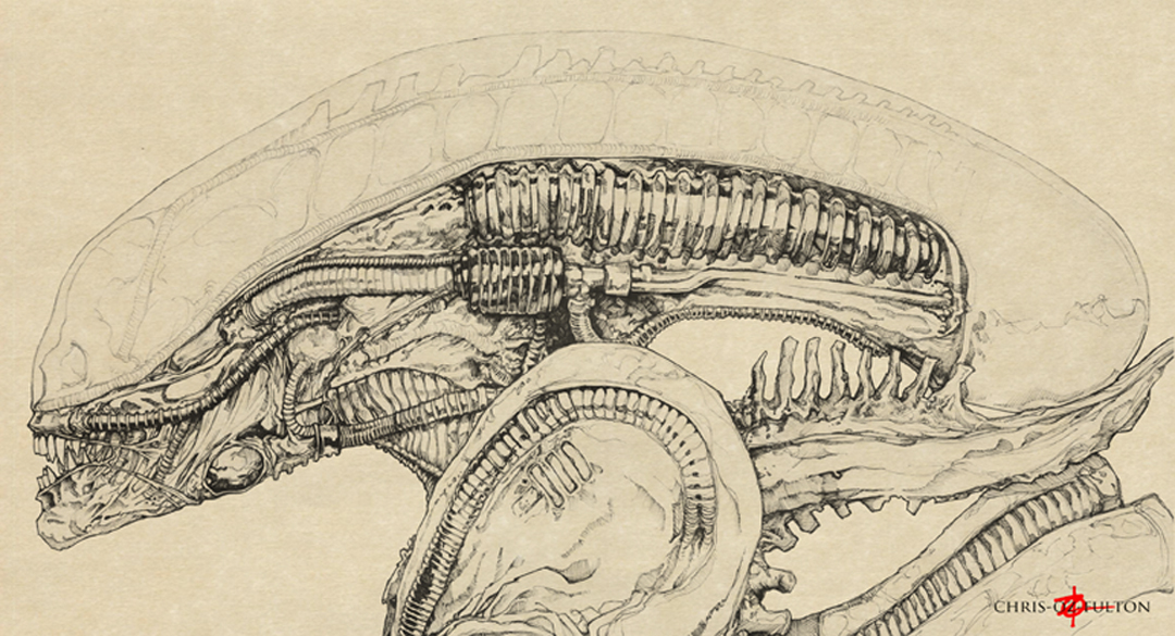 1080x585 Xenomorph Alien Big Chap By Chrisozfulton