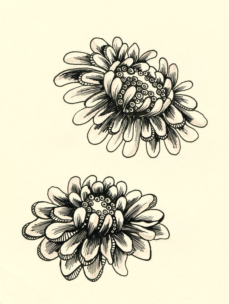 775x1031 Big Flower By Lindzb Zentangle Flowers Big Flowers