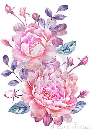 318x450 Watercolor Illustration Flower In Simple Background Big Flowers