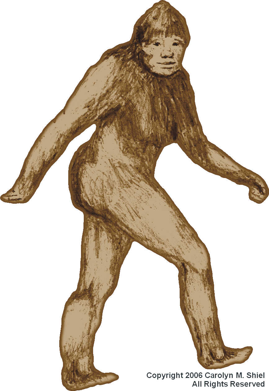 867x1261 Is There A Bigfoot In Your Backyard Michigan Author Offers