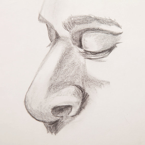 Big Nose Drawing at GetDrawings | Free download