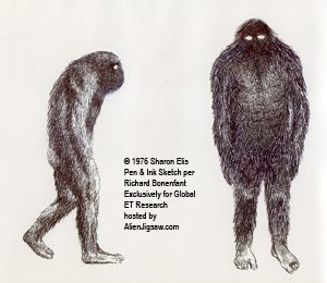 300x260 Image Result For Bigfoot Drawing Collab With Nick