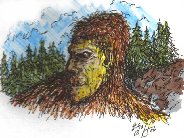 640x480 Oregon Bigfoot Art, Drawings And Paintings