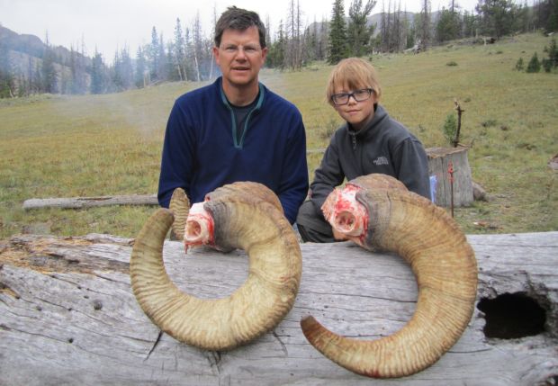 620x429 Father, Son Draw Bighorn Sheep Tags And Fill Them On 1st Day
