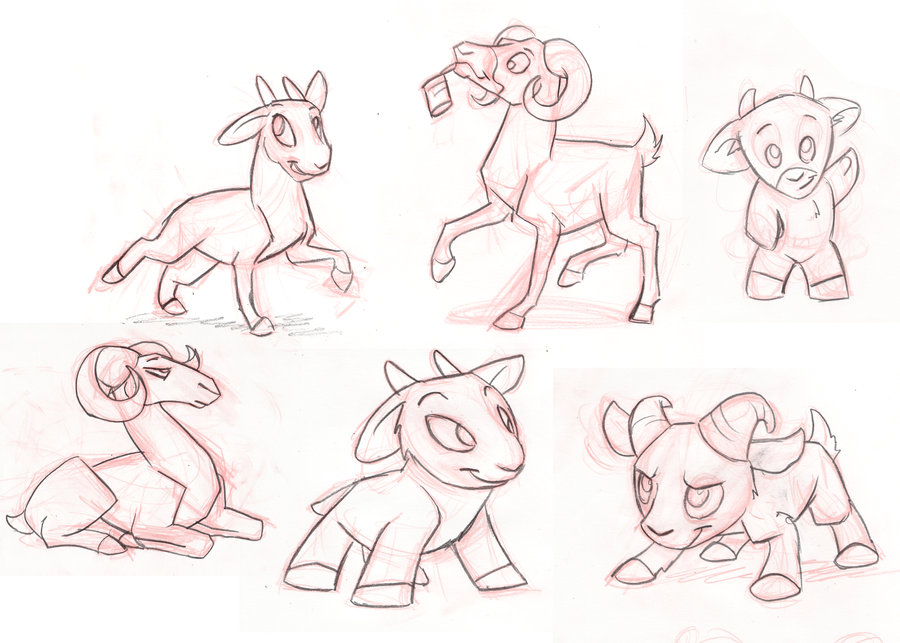 900x643 Rocky Mountain Bighorn Sheep By Dianeaarts