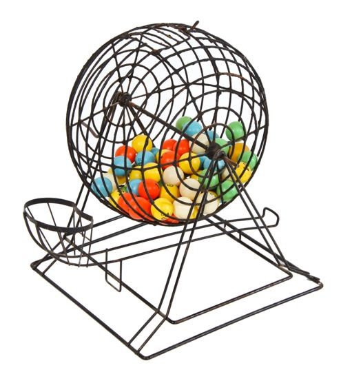 495x553 Bingo! The Octopus Literary Salon