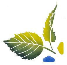 229x220 Birch Leaf Drawing