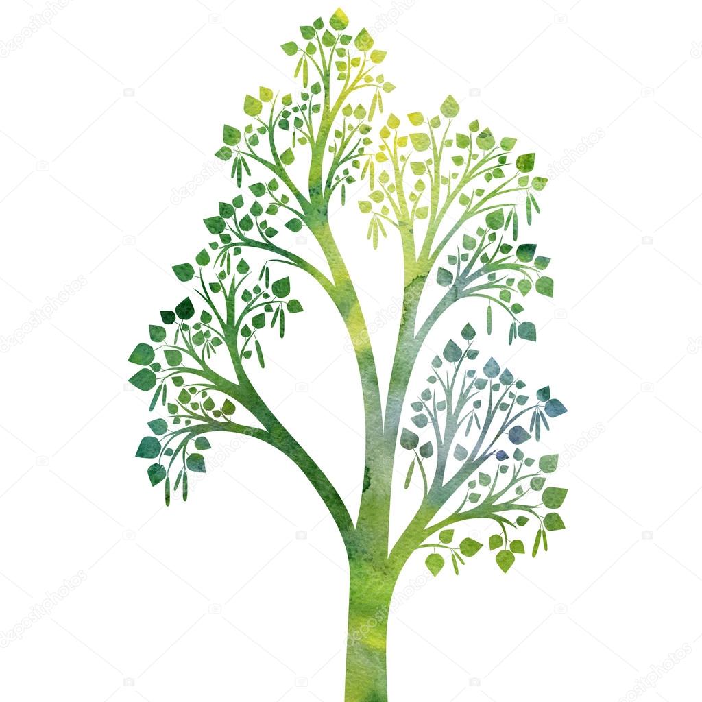 1024x1024 Silhouette Of Birch Tree With Leaves Stock Photo