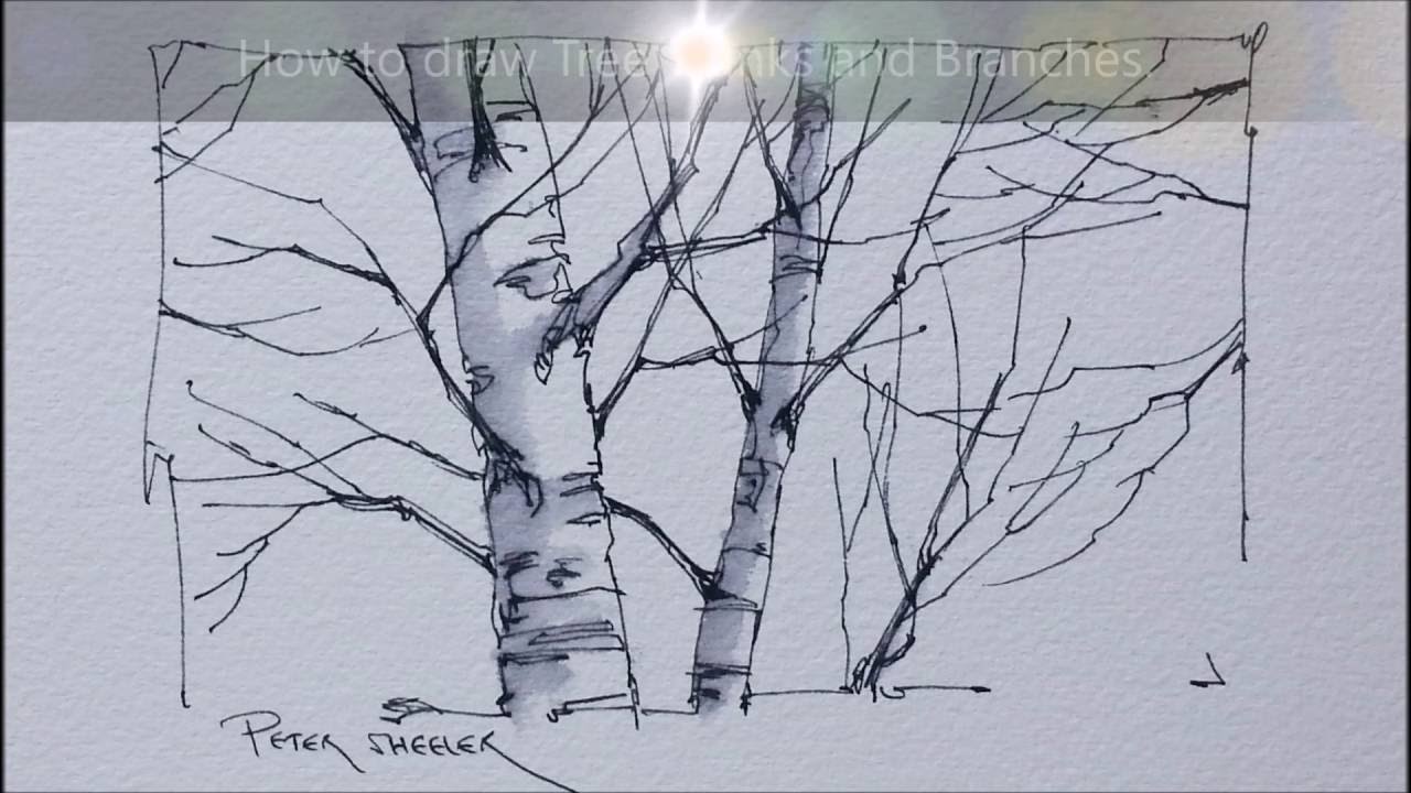 1280x720 Tips And Techniques For Drawing Better Tree Trunks And Branches