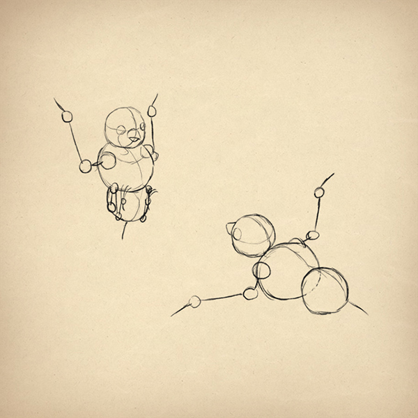 600x600 How To Draw Animals Birds, Their Anatomy And How To Draw Them