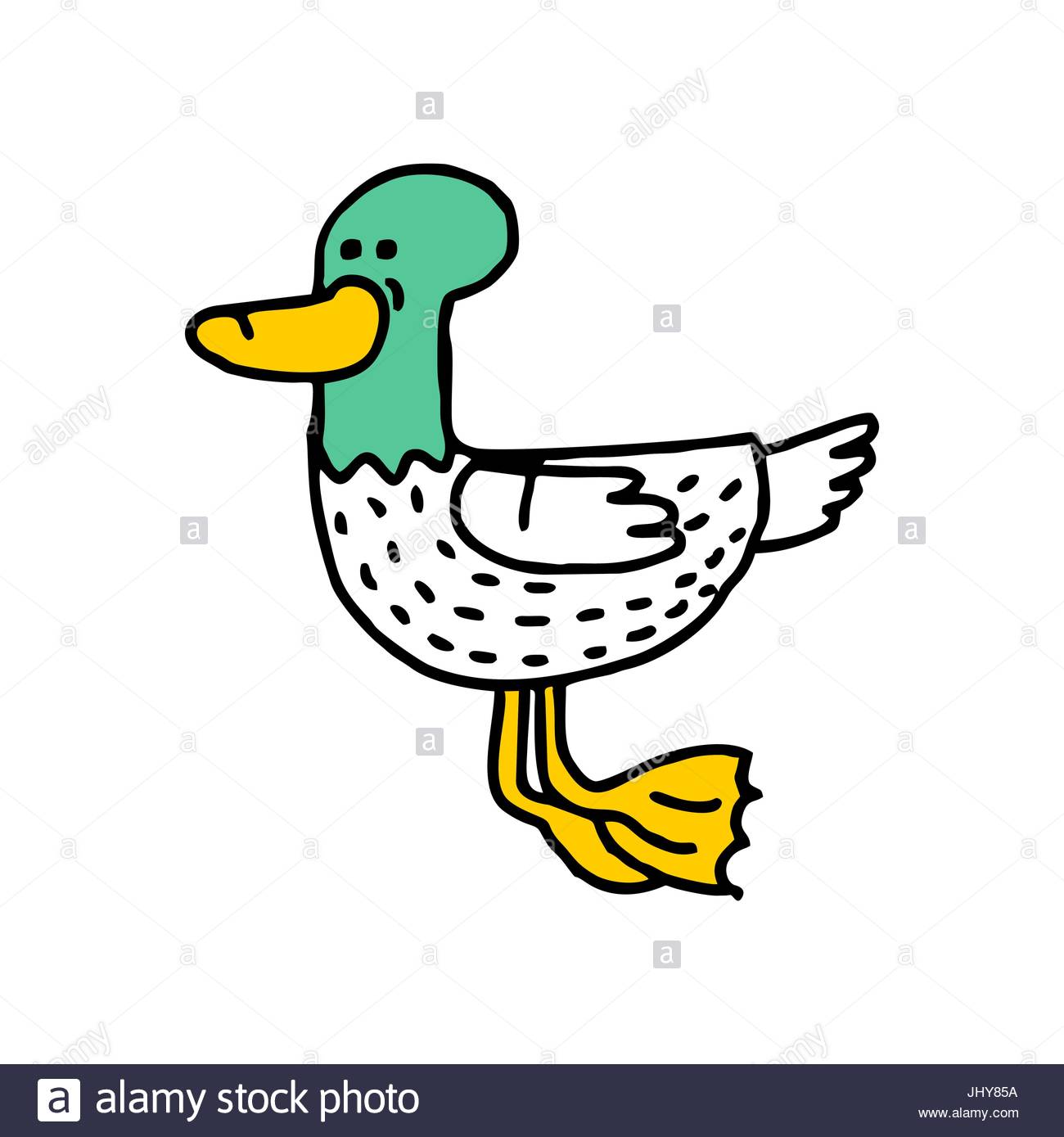 1300x1389 Duck Cartoon Isolated. Drake Drawing. Water Bird Stock Vector Art