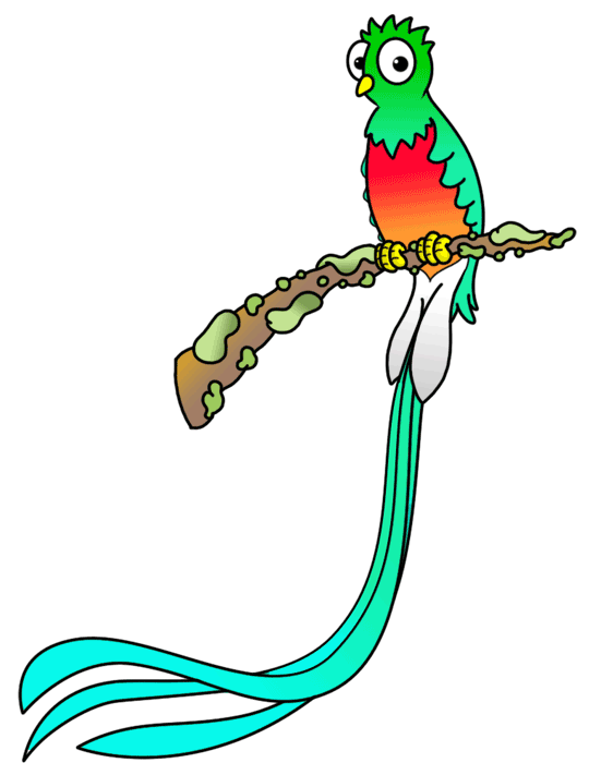 540x700 How To Draw A Quetzal Bird