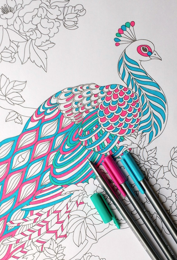 567x831 Step By Step Coloring Peacock Feathers