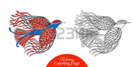 450x225 Tropical Bird. Vector Illustration. Coloring Book For Adult