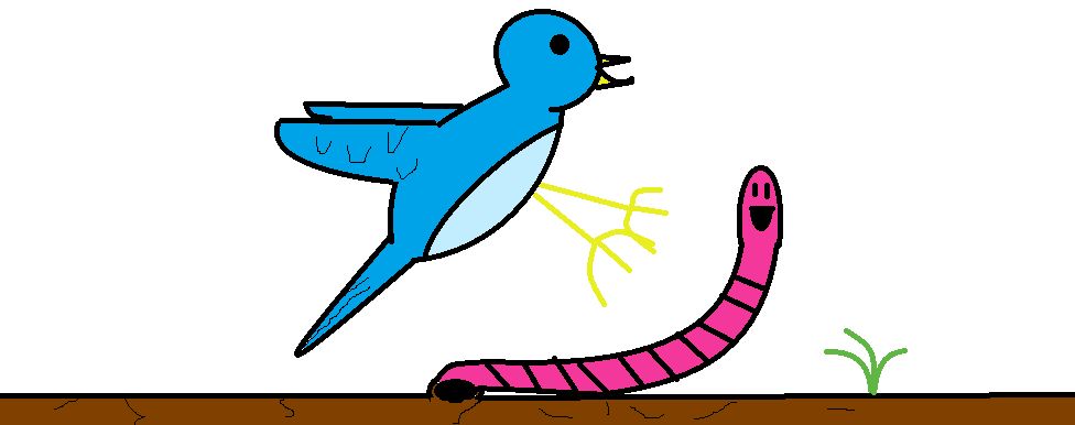 976x386 Favorite Animal