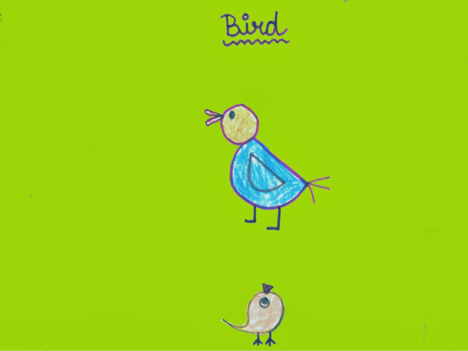 1600x1200 Bird Drawing For Kids Virtual Kidspace