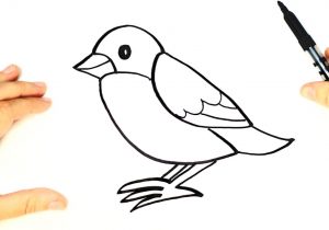 Bird Drawing Simple at GetDrawings | Free download