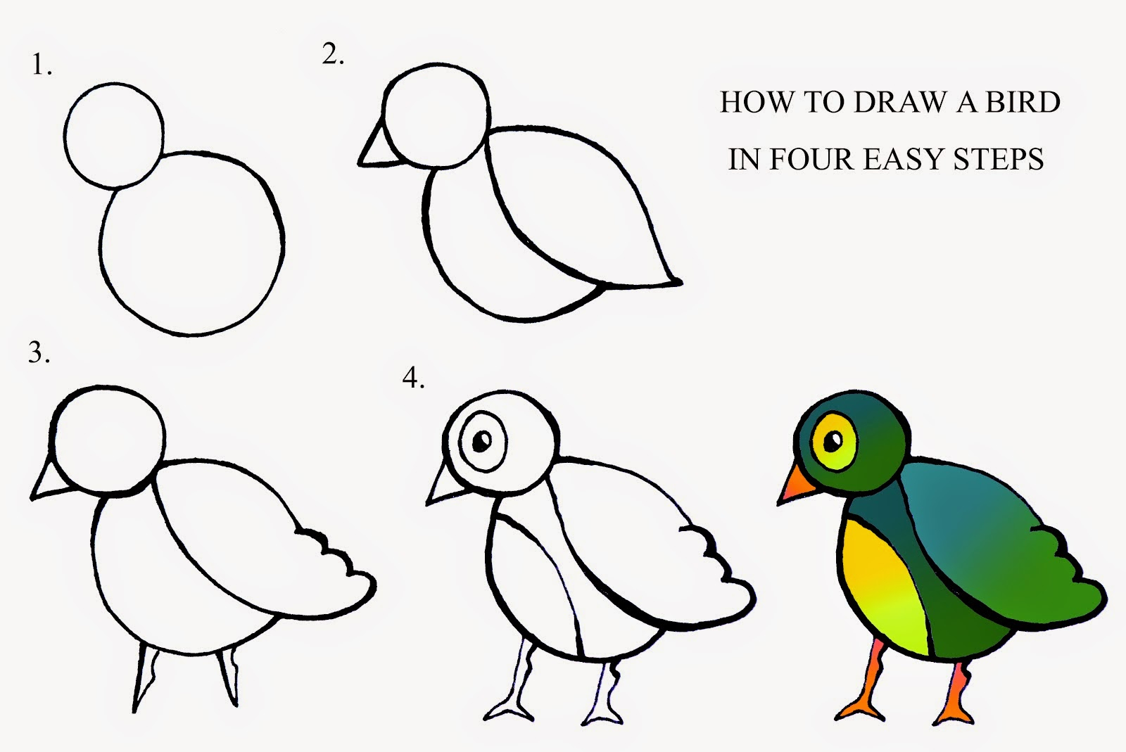 1600x1069 Simple Drawing Of Birds Double Headed Shart Attack Drawing
