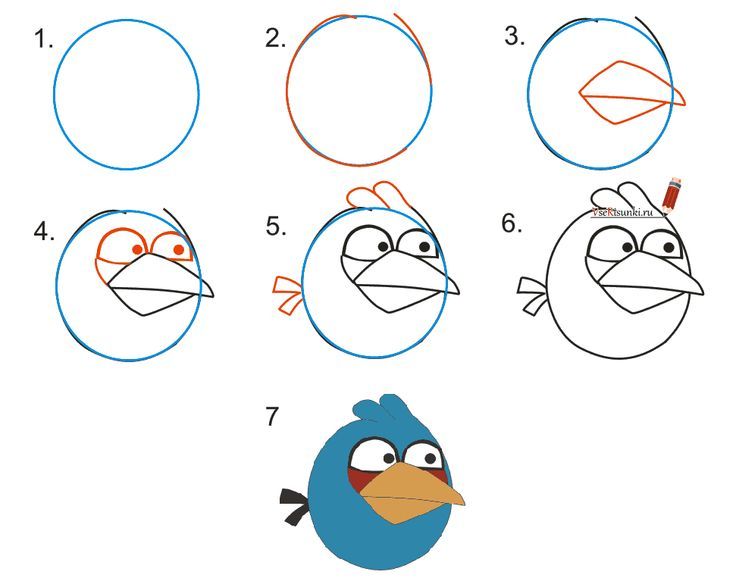 736x581 How To Draw Angry Bird Step By Step