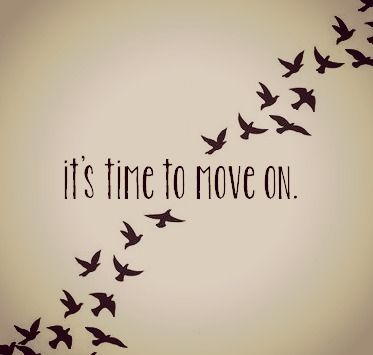 373x355 Birds Via Tumblr