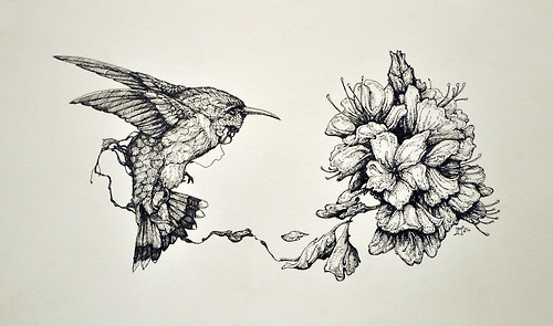 500x295 Pen Drawings Tumblr