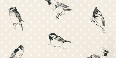 390x196 Belle Birds Wallpaper By Brian Yates