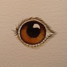 236x236 Bird Eyes In The Laws Guide To Drawing Birds Drawing