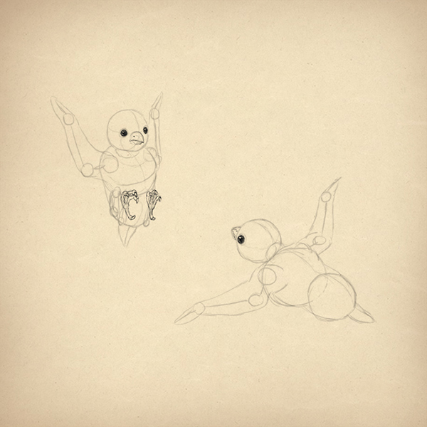 600x600 How To Draw Animals Birds, Their Anatomy And How To Draw Them