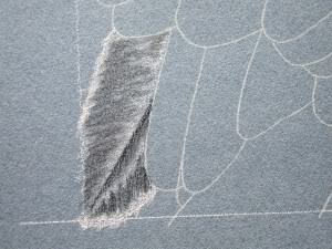 300x225 Learn How To Draw Bird Feathers