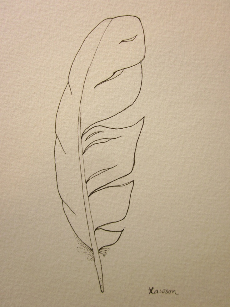 736x981 Sea Bird Feather