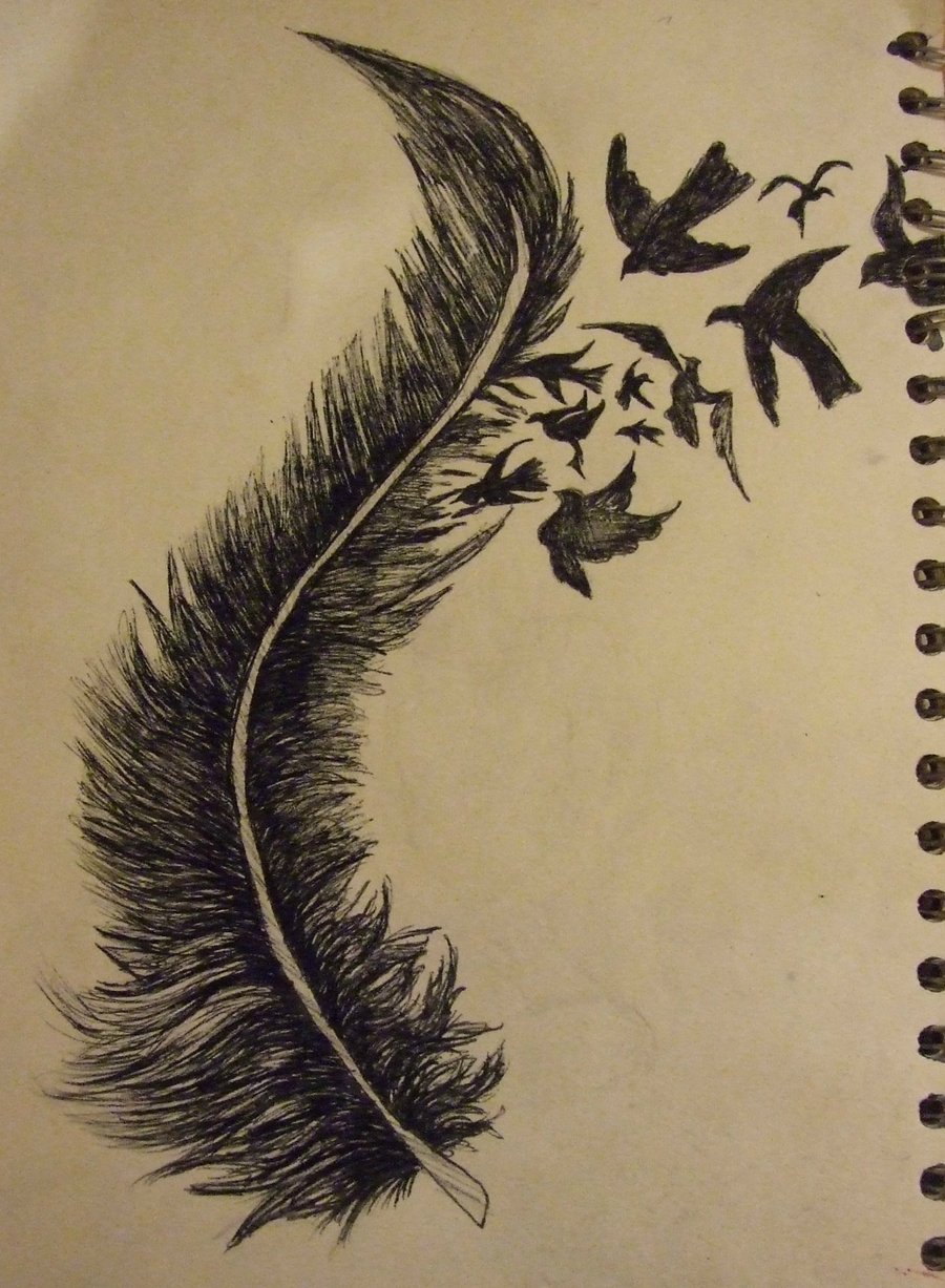 900x1227 Feather And Birds By Heine Haven
