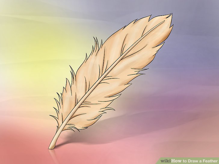728x546 How To Draw A Feather 8 Steps (With Pictures)