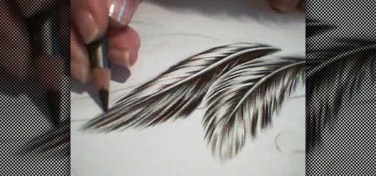 1280x600 How To Draw Feathers Drawing Amp Illustration Wonderhowto