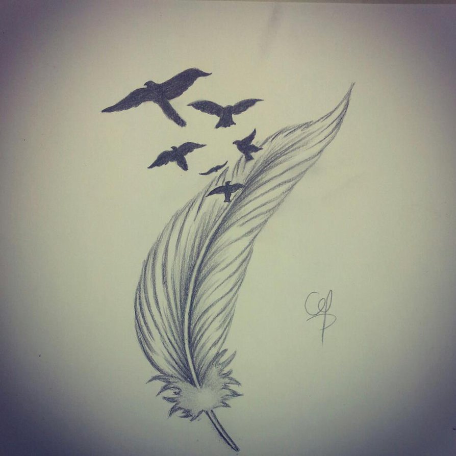Bird Feathers Drawing at GetDrawings | Free download
