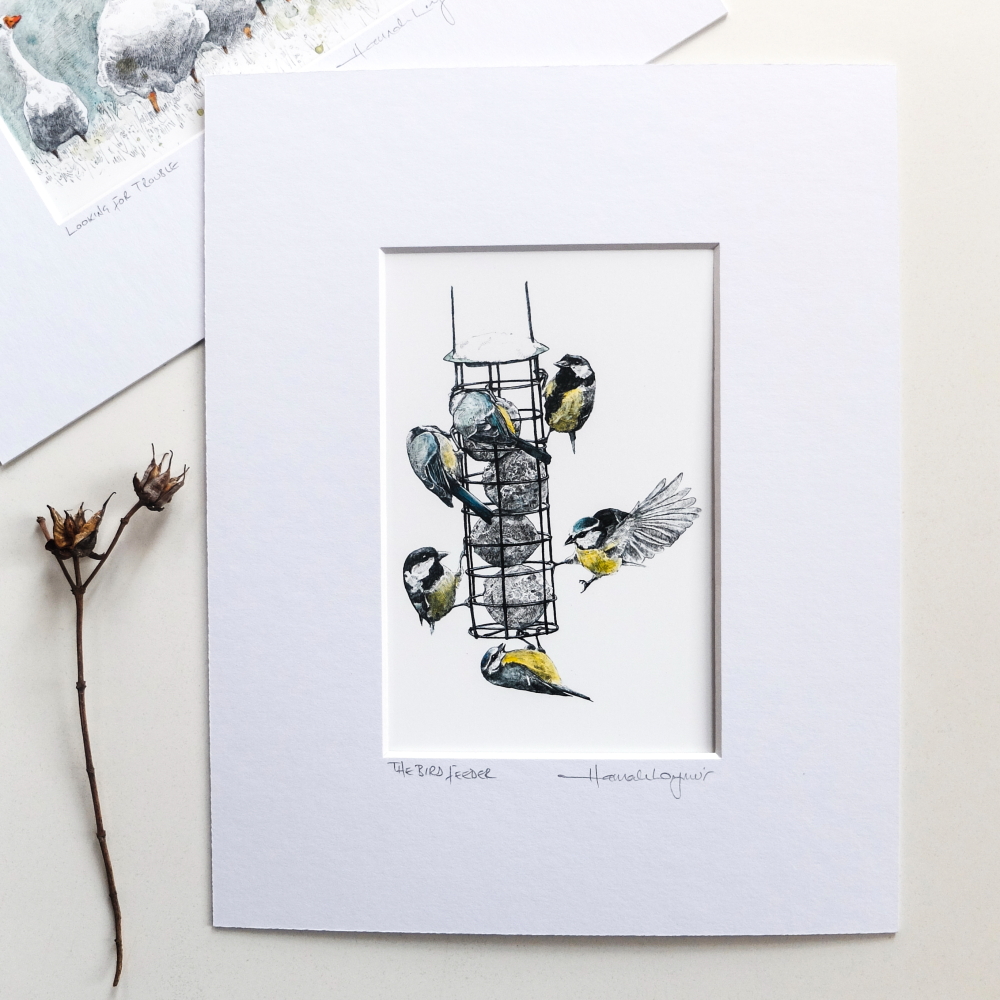 1000x1000 The Bird Feeder