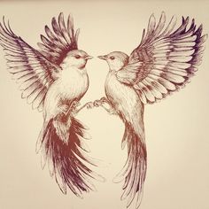 236x236 Tumblr Birds Flying Drawing Feather Bird, Drawings