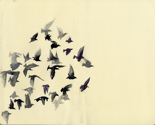 500x401 Weheartit Beautiful Stuff Flying Bird Drawing