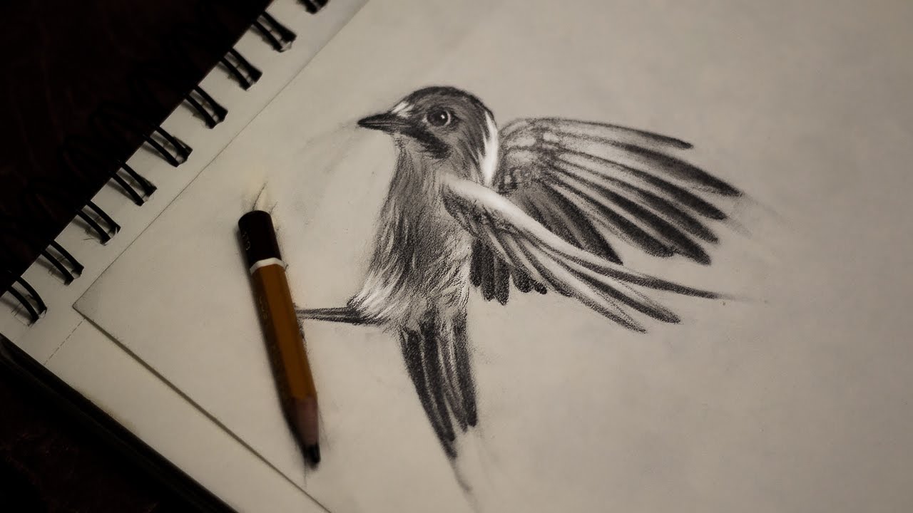Bird Flying Drawing at GetDrawings.com | Free for personal ...