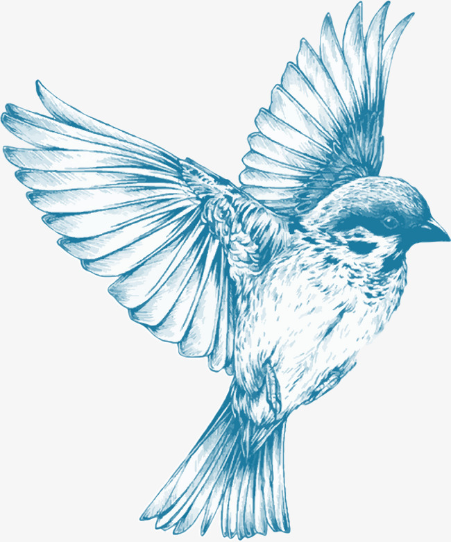 Bird Flying Drawing at GetDrawings | Free download