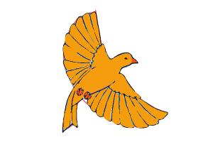 300x200 How To Draw A Bird Flying