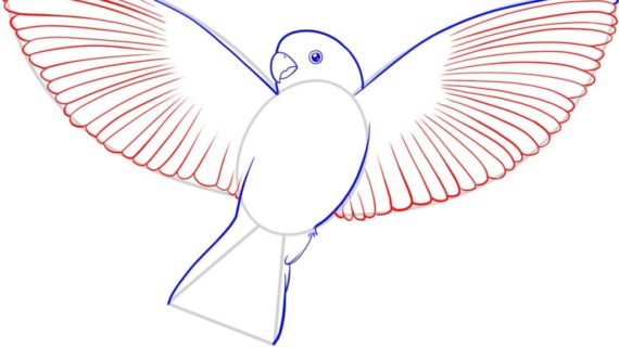 570x320 Simple Bird Drawing Drawing Simple Bird Fly Clipart Best