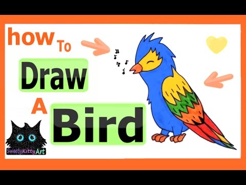 480x360 How To Draw A Bird Easy Cartoon Drawing For Kids Draw Step By