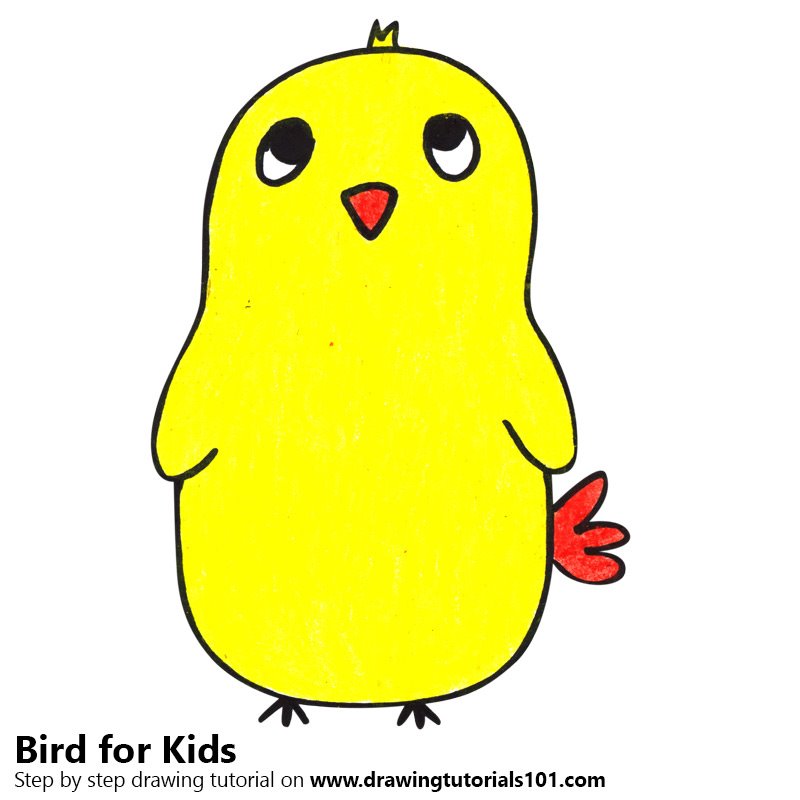 800x800 Learn How To Draw A Cute Bird For Kids (Animals For Kids) Step By