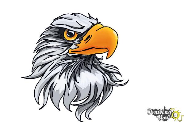 600x400 How To Draw An Eagle Head