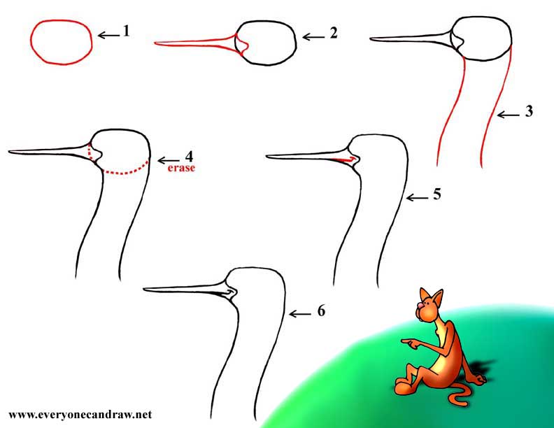 792x612 Cartoon Bird Head Step By Step Number 6