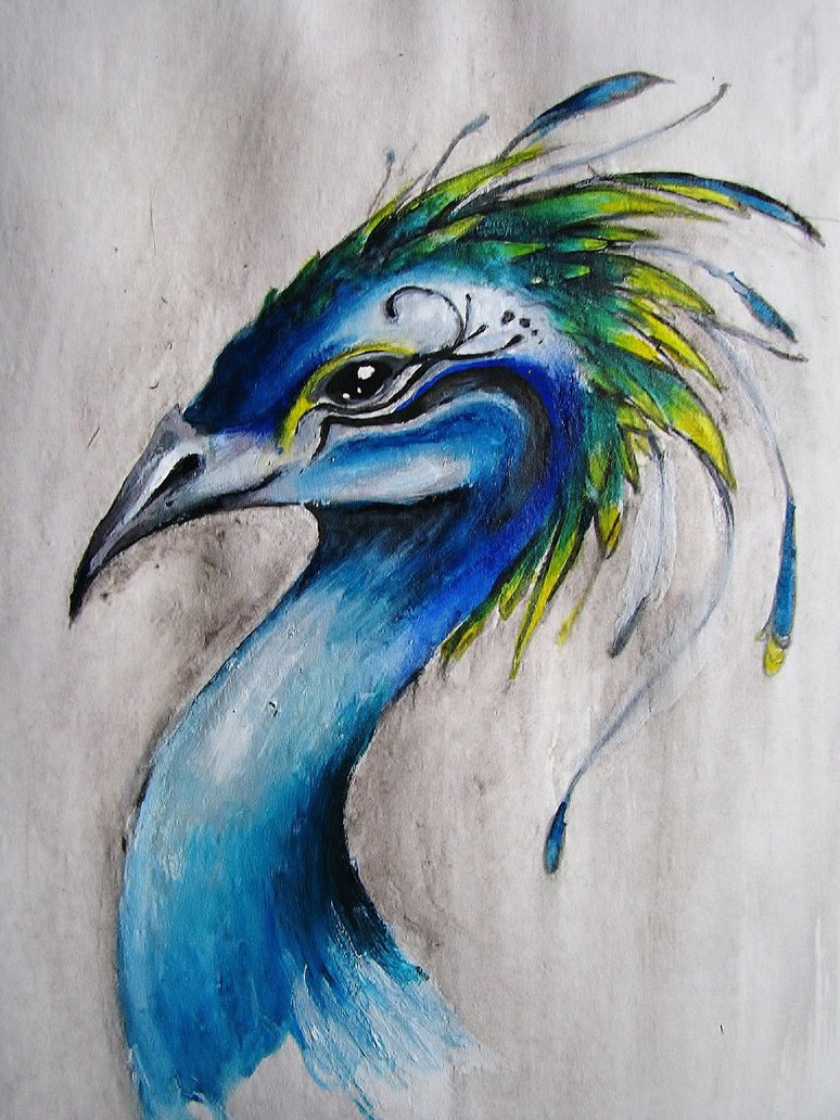 774x1032 Exotic Bird Head By Emilyrose727