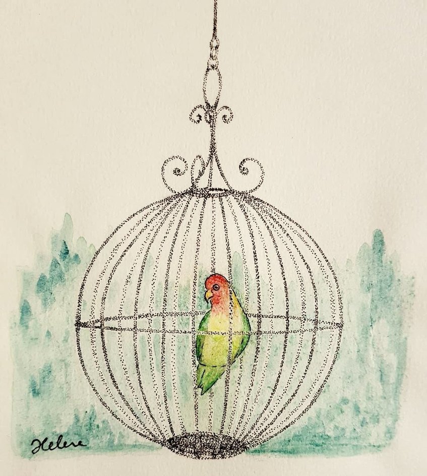 847x944 Bird In A Cage By Saintelmsfire